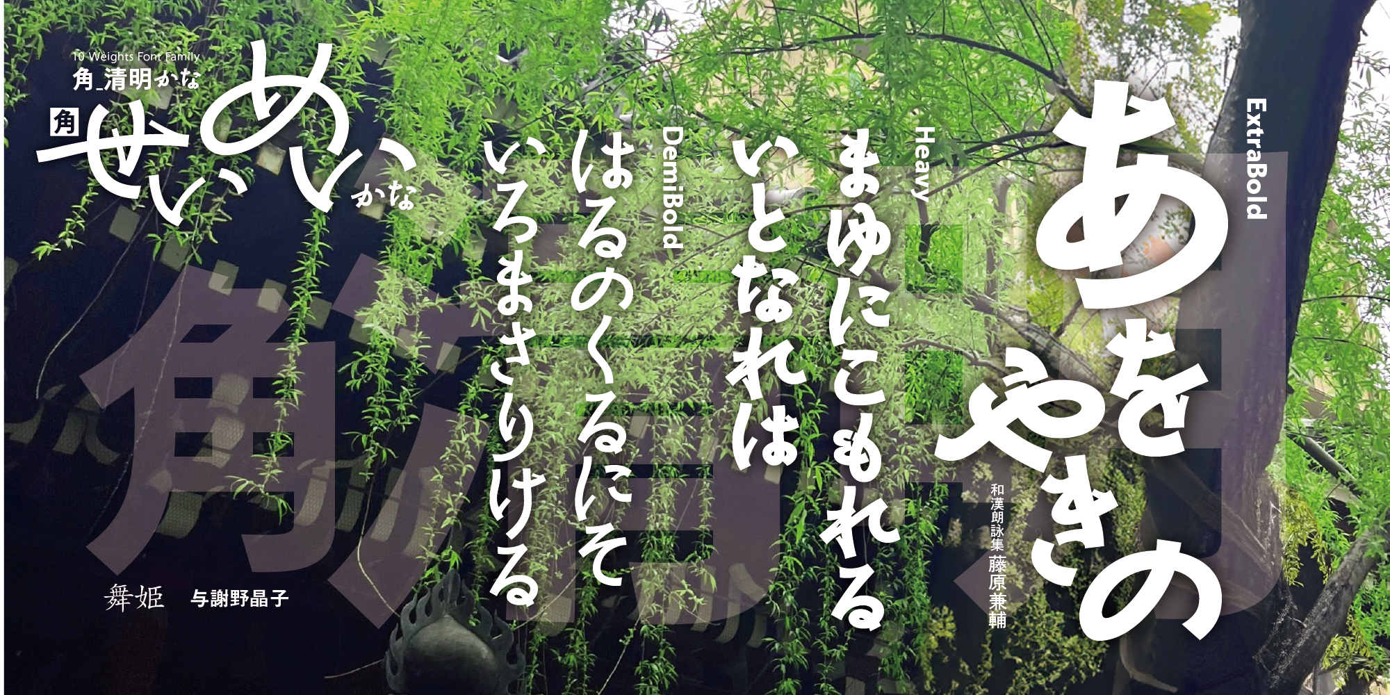 JP_New_Kaku_SeimeiKana-5