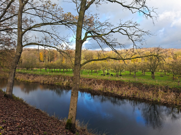 Scenic images of a waterway and trees on the castle grounds.