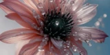 Flowery header image with a subtle gray gradient background.