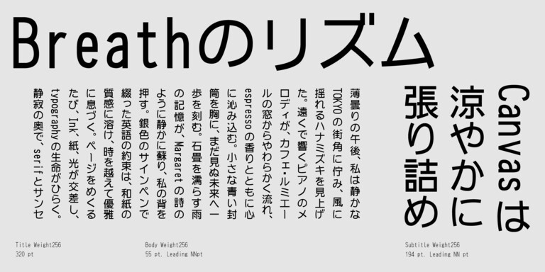 RICOH様_HGNewGoRT